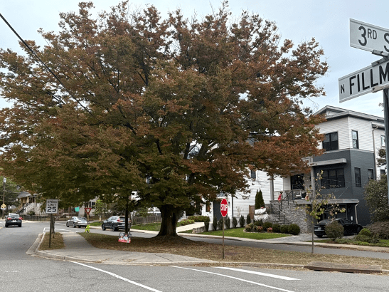 Lyon Park Loses a&nbsp;Landmark